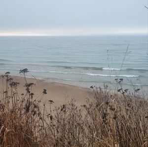 Meet your Posher, Jenn Drover